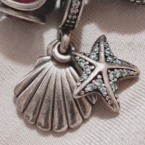 Pandora Charm Bracelet - Picture 10 of 15